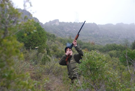 El Gobierno vasco publica las 37 especies que se pueden cazar en Euskadi